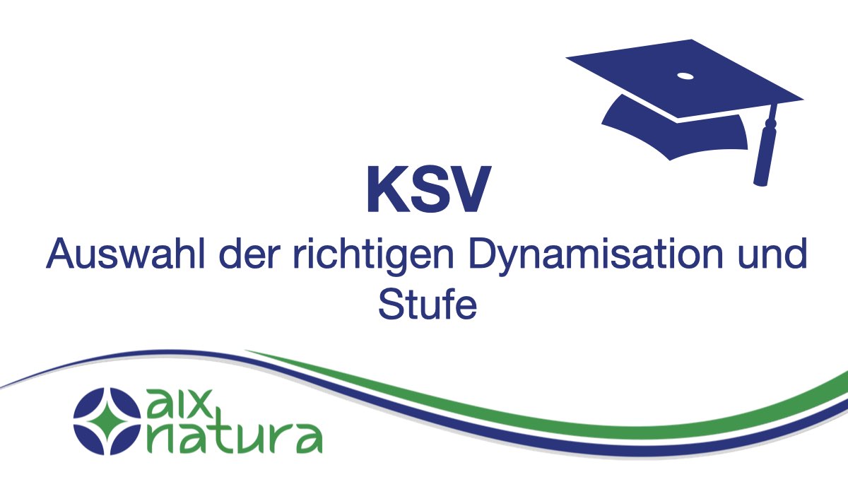 KSV - Auswahl der richtigen Dynamisation und Stufe
